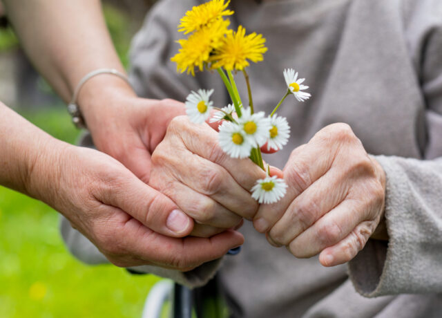 Hands holding flowers